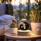 Dinosaur Crystal Ball Night Light – USB Bedside Lamp