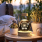 Dinosaur Crystal Ball Night Light – USB Bedside Lamp