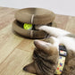 Cat Scratcher