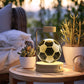 Dinosaur Crystal Ball Night Light – USB Bedside Lamp