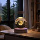 Dinosaur Crystal Ball Night Light – USB Bedside Lamp